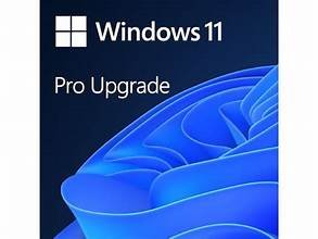 Read more about the article Windows 11 Pro Upgrade,